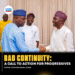 BAO Continuity: A Call to Action for Progressives