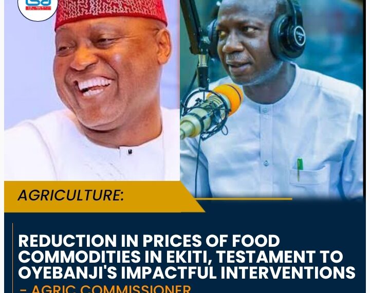 Reduction in prices of food commodities in Ekiti, testament to Oyebanji’s impactful interventions – Agric commissioner