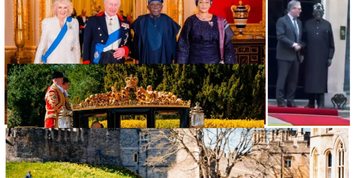 The President Bola Ahmed Tinubu Story