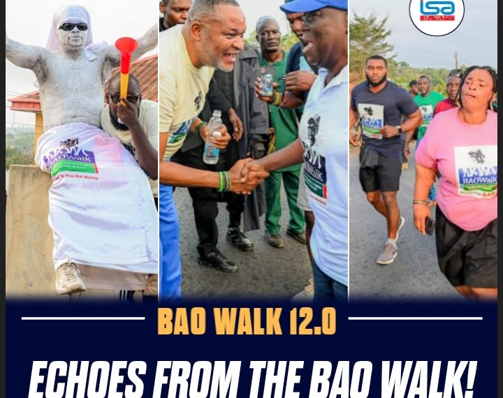 ECHOES FROM THE BAO WALK [12.0