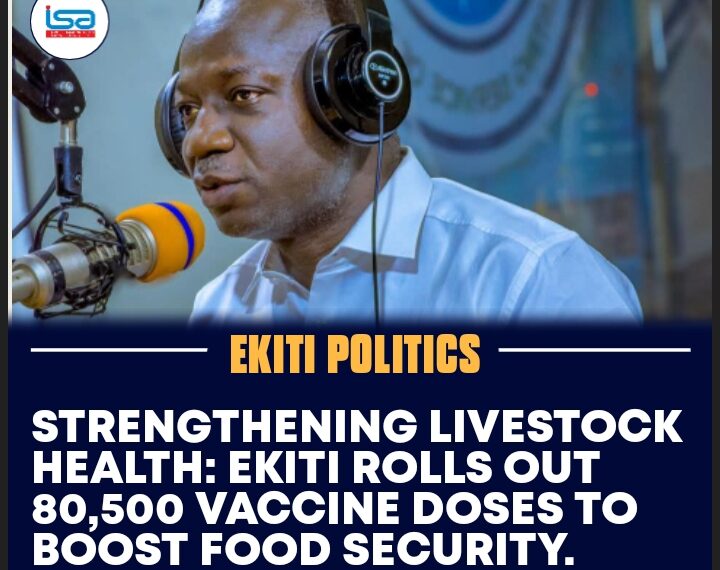 STRENGTHENING LIVESTOCK HEALTH: EKITI ROLLS OUT 80,500 VACCINE DOSES TO BOOST FOOD SECURITY
