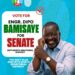 VOTE FOR ENGR DIPO BAMISAYE THE INCOMING SENATOR REPRESENTING EKITI NORTH SENATORIAL DISTRICT OF EKITI STATE (2027 )
