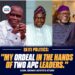 MY ORDEAL IN THE HANDS OF TWO APC LEADERS