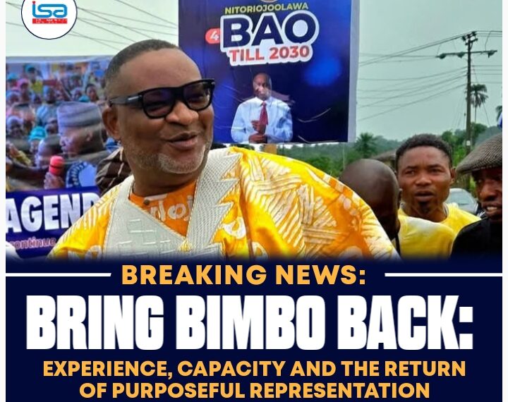 BRING BIMBO BACK: EXPERIENCE, CAPACITY, AND THE RETURN OF PURPOSEFUL REPRESENTATION